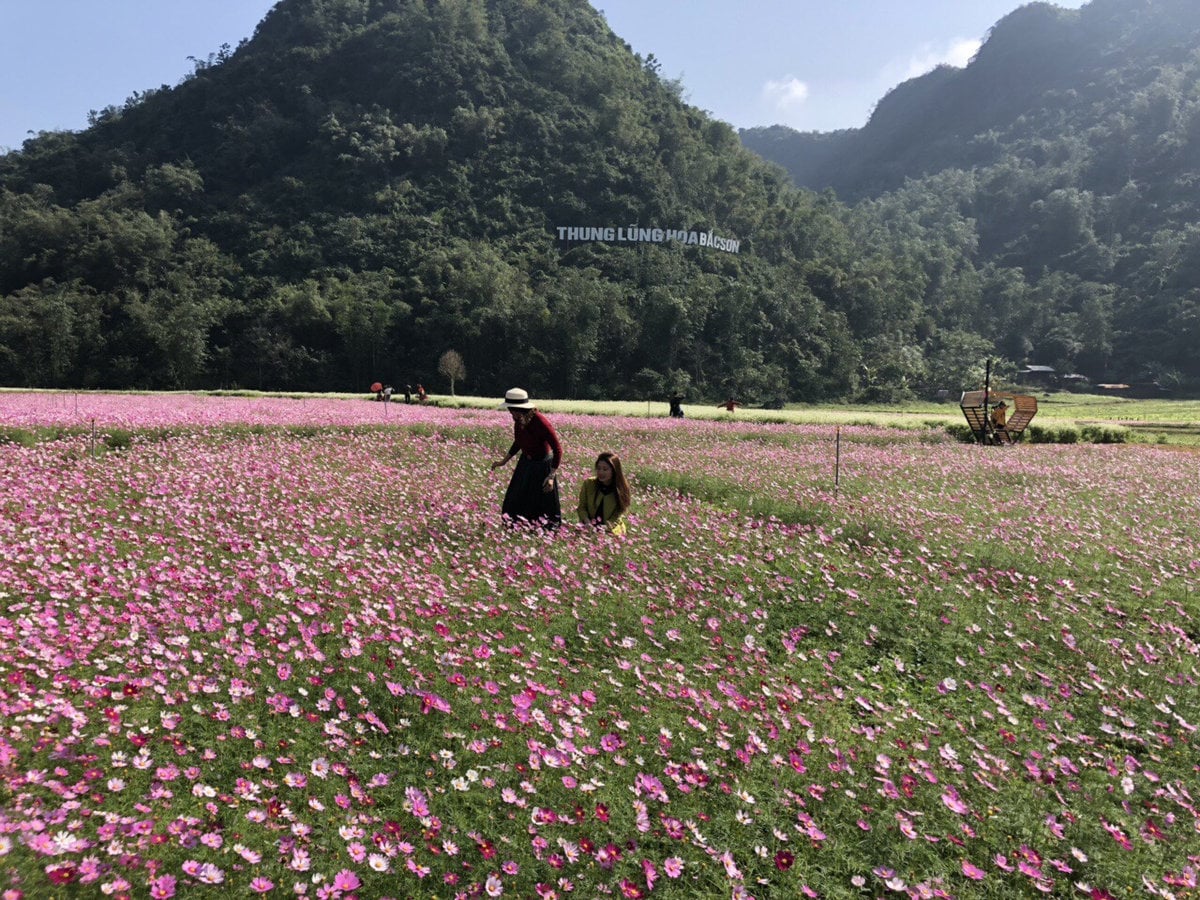 Thung lũng hoa Bắc Sơn
